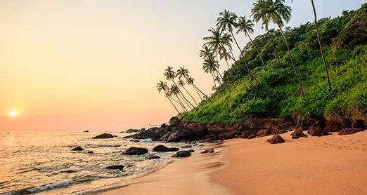 Goa to Mumbai Cruise